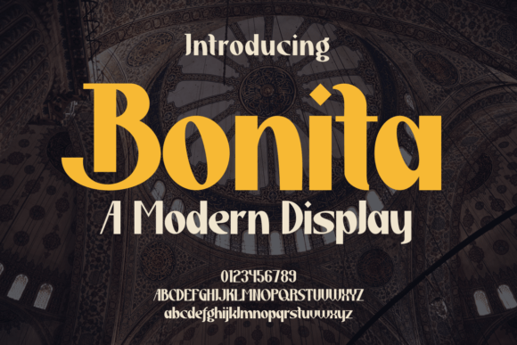 Meet Bonita: The Modern Display Font That Commands Attention