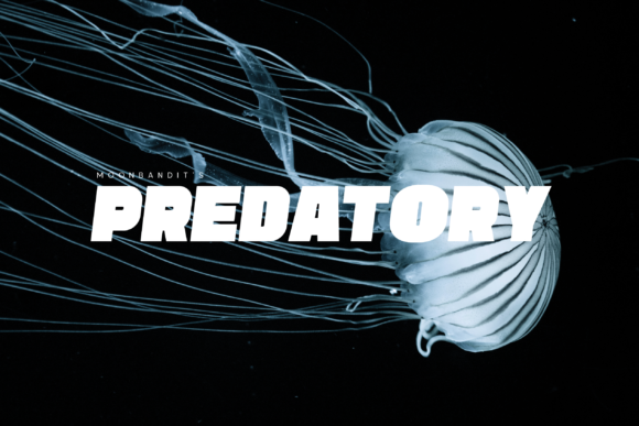Predatory: Command Attention with Bold, Confident Typography